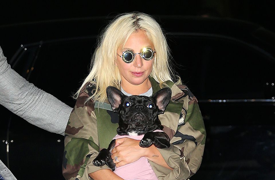 NEW YORK, NY - JUNE 22: Singer Lady Gaga is seen on June 22, 2015 in New York City. (Photo by XPX/Star Max/GC Images)