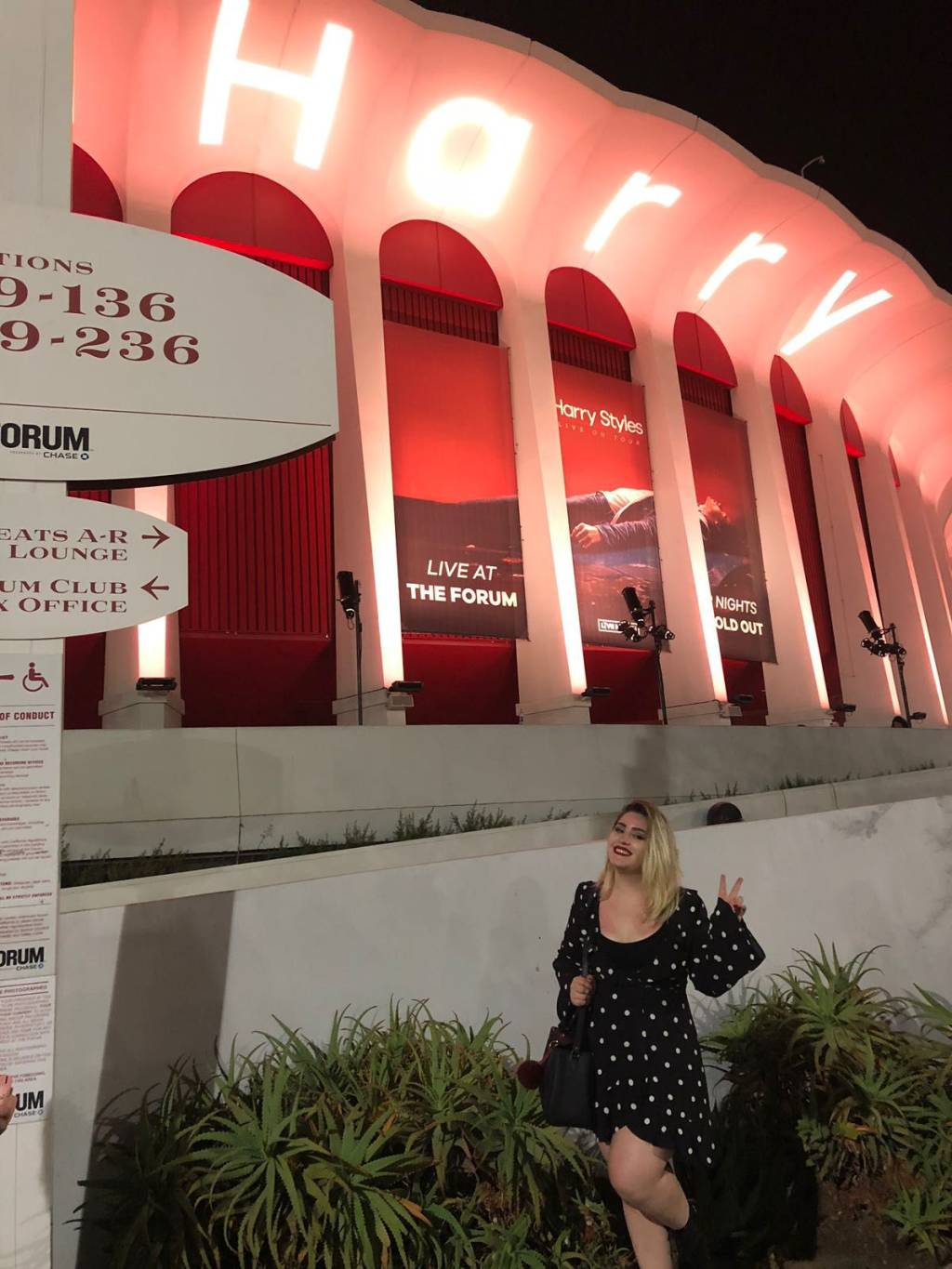 Izabella Arouca, em Los Angeles, a fã brasileira de Harry Styles que viajou o mundo para ver os shows do artista