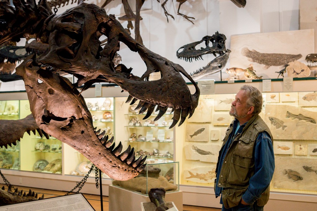 EM EXPOSIÇÃO - O cientista Peter Larson observa uma cópia do tiranossauro Stan: lugar de dinossauro é no museu -