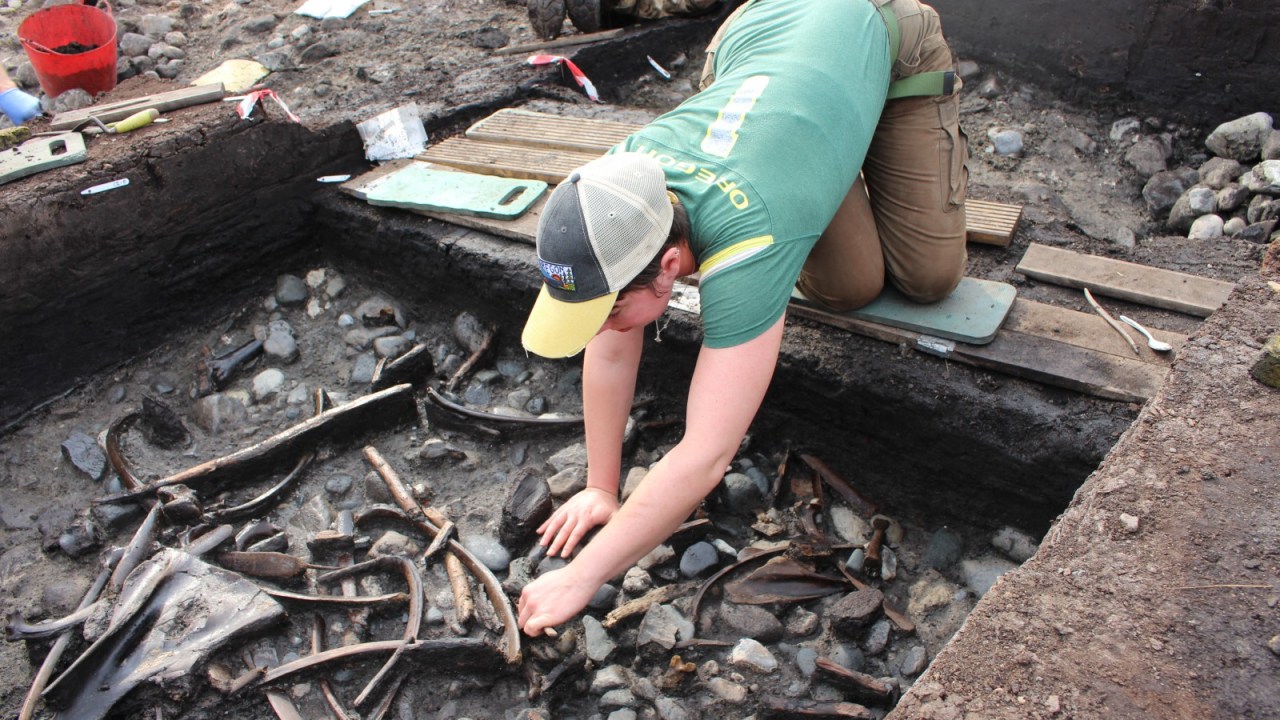 Escavação encontrou ossos transformados em ferramentas e utensílios -