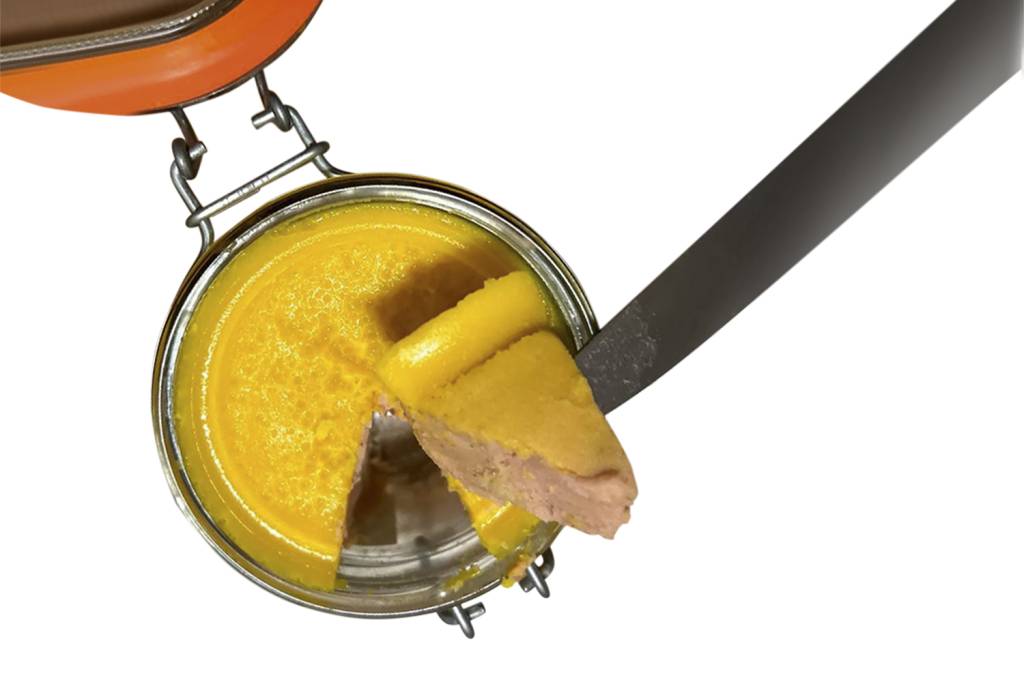 FABIEN-BORGEL-FOIE-GRAS-42-DEGRES-6.jpeg MARATONA DE TESTES - Fuah!: resultado de mais de 800 receitas -