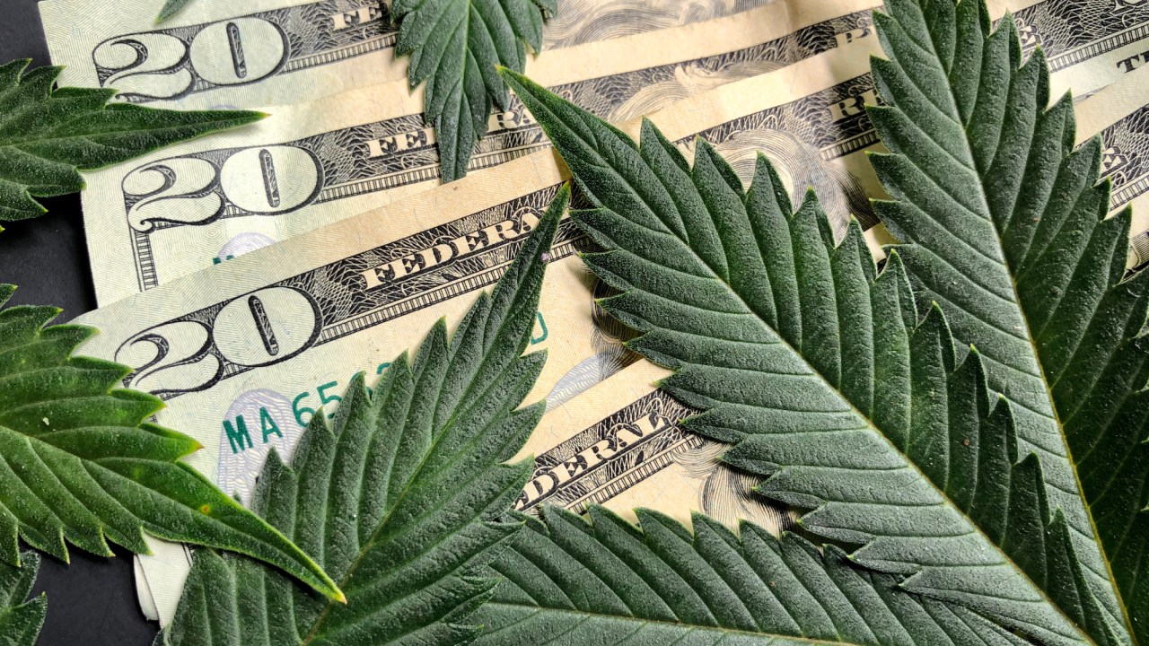 Estados americanos registraram arrecadação recorde com produtos à base de cannabis -