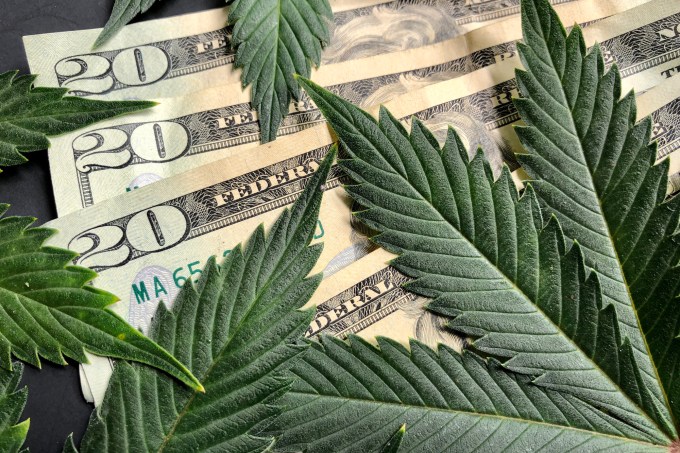Cannabis leaves with American twenty dollar bills
