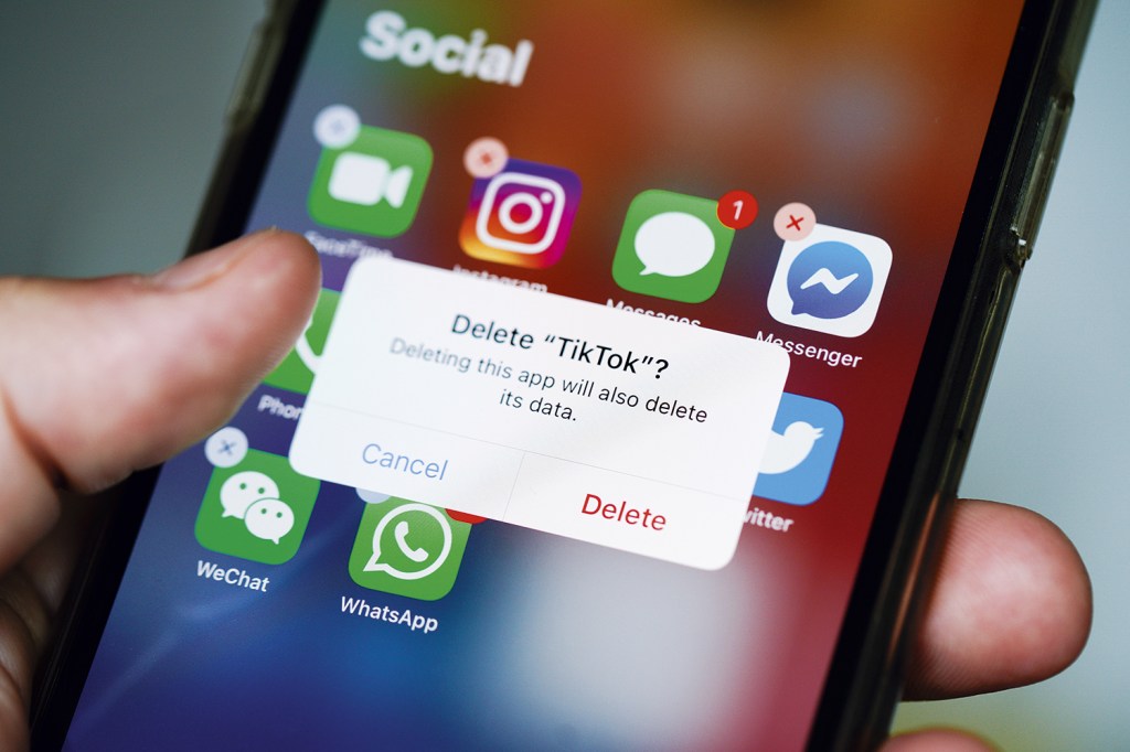 BYE-BYE! - TikTok: com o risco de vazamento de dados, funcionários do governo americano não podem usar o app -