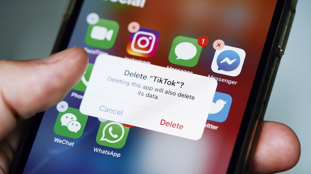 BYE-BYE! - TikTok: com o risco de vazamento de dados, funcionários do governo americano não podem usar o app -