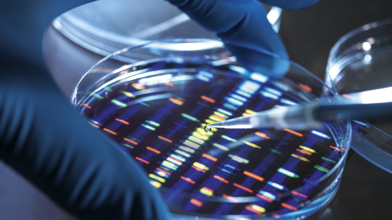 REVOLUÇÃO - Testes de DNA: avanços tecnológicos permitiram popularização -