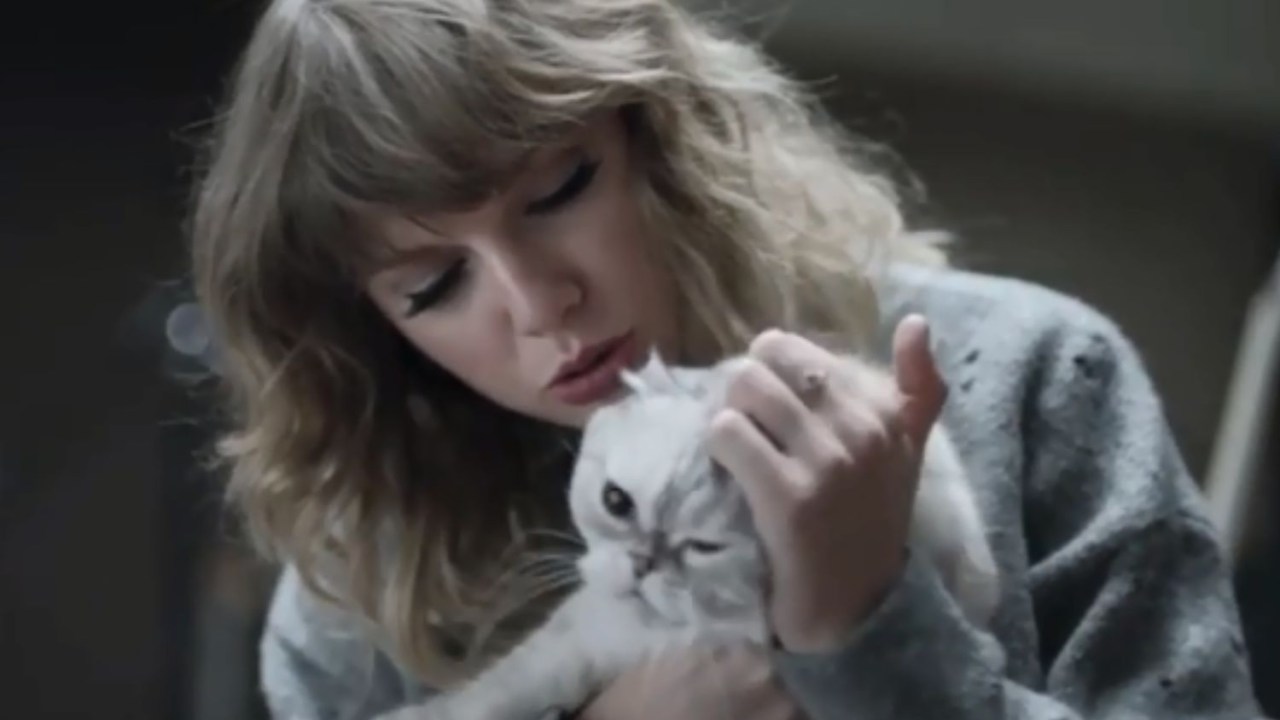 Taylor Swift com sua gata Olivia Benson