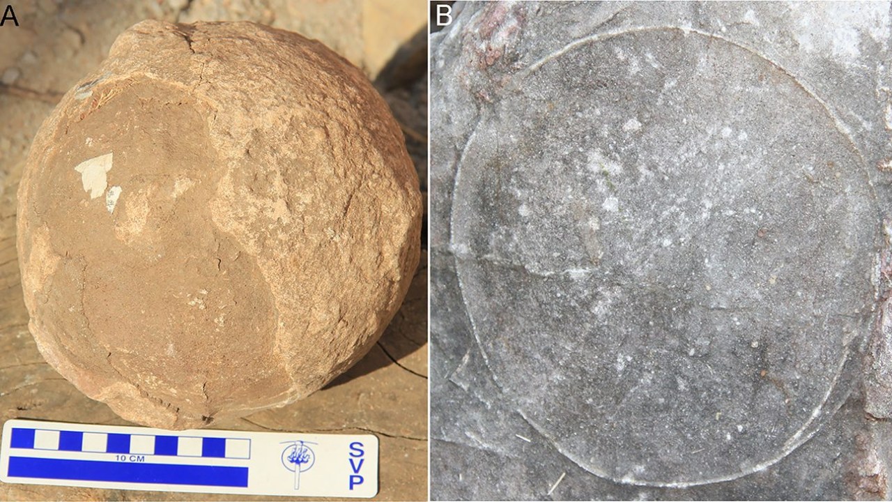 Fósseis de ovos de titanossauros encontrados na Índia -