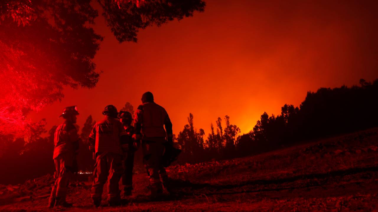 JAVIER TORRES / AFP