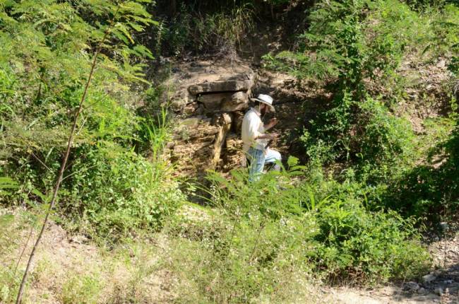 O pesquisador Gabriel Osés busca amostras de Corumbella durante trabalho de campo em Corumbá (foto: Bruno Becker Kerber)