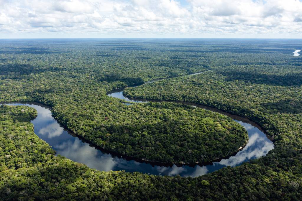 POTÊNCIA VERDE - Rio Manicoré, no coração da Amazônia: zerar o desmatamento põe o Brasil em posição privilegiada -