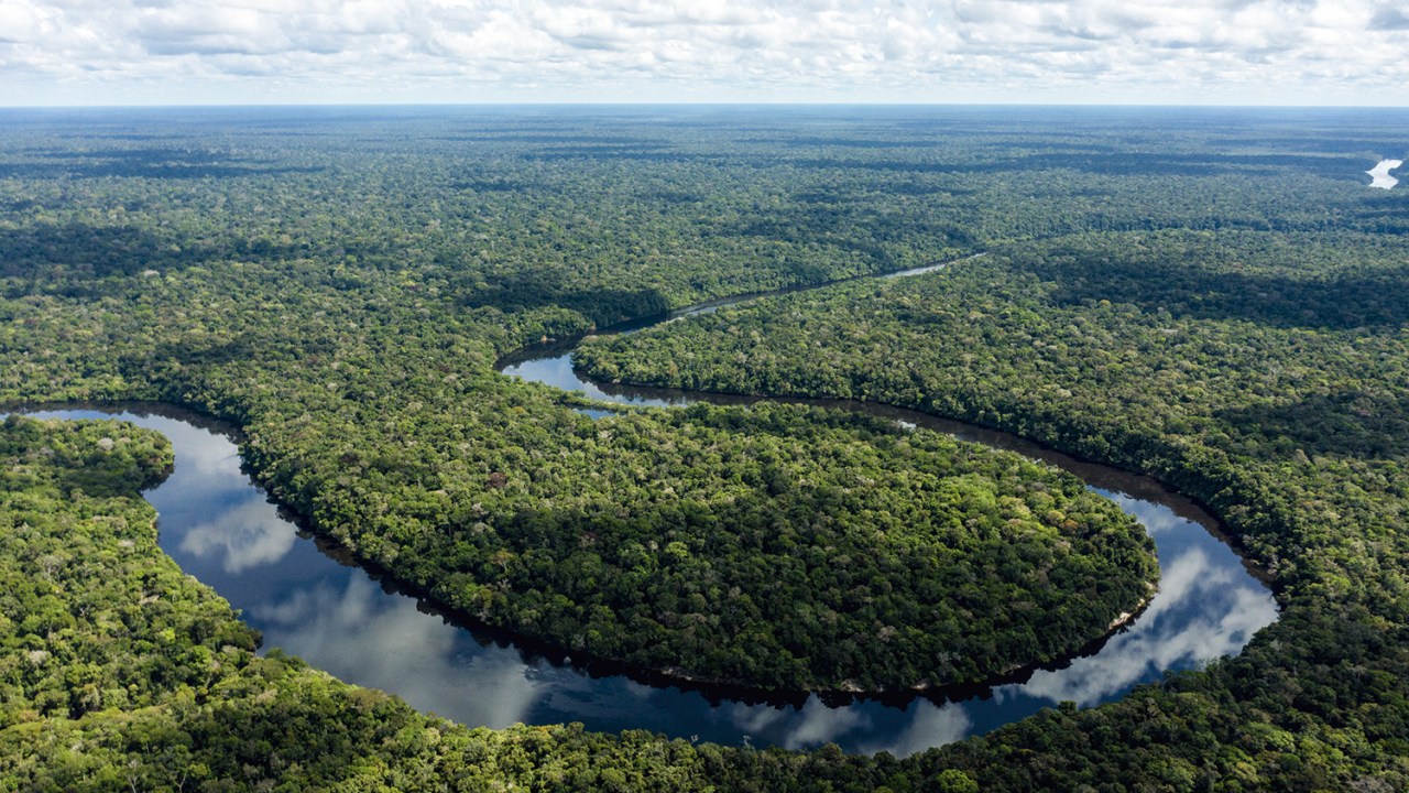 POTÊNCIA VERDE - Rio Manicoré, no coração da Amazônia: zerar o desmatamento põe o Brasil em posição privilegiada -