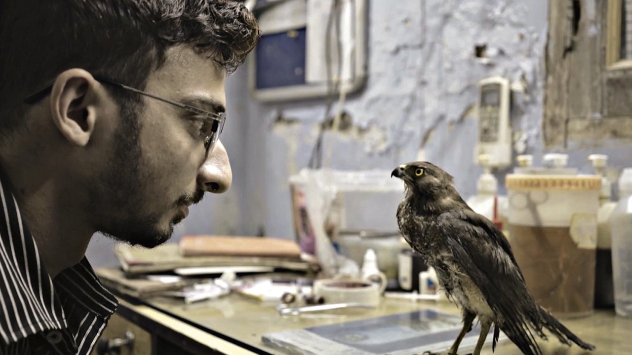 DOCUMENTÁRIO - A ave e seu salvador: filme ecológico leva Índia ao Oscar -
