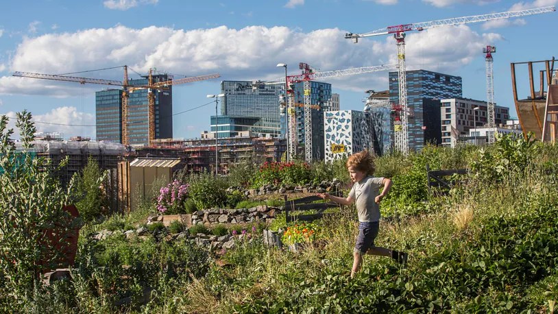 Oslo, capital da Noruega, lidera políticas sustentáveis na Europa e pretende eliminar 95% das emissões de poluentes até o fim da década