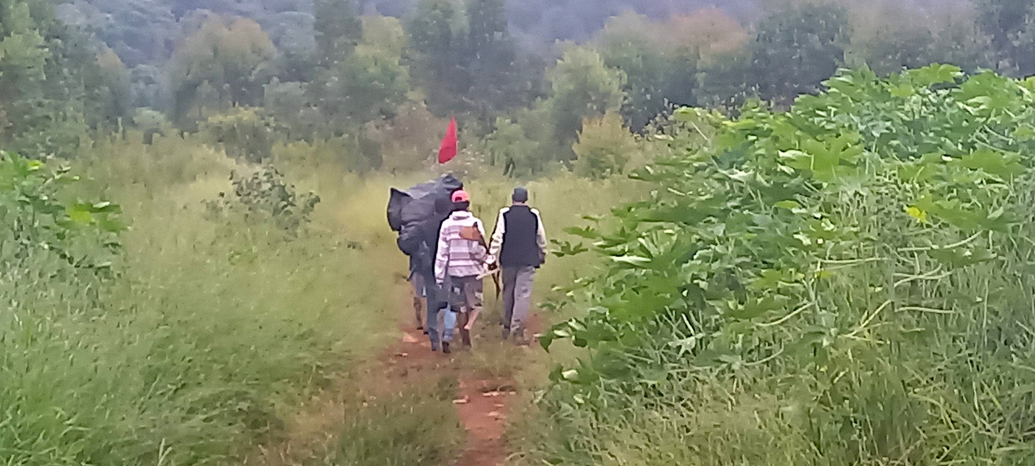 ‘Carnaval vermelho’ de invasões é desafio para Lula e Tarcísio