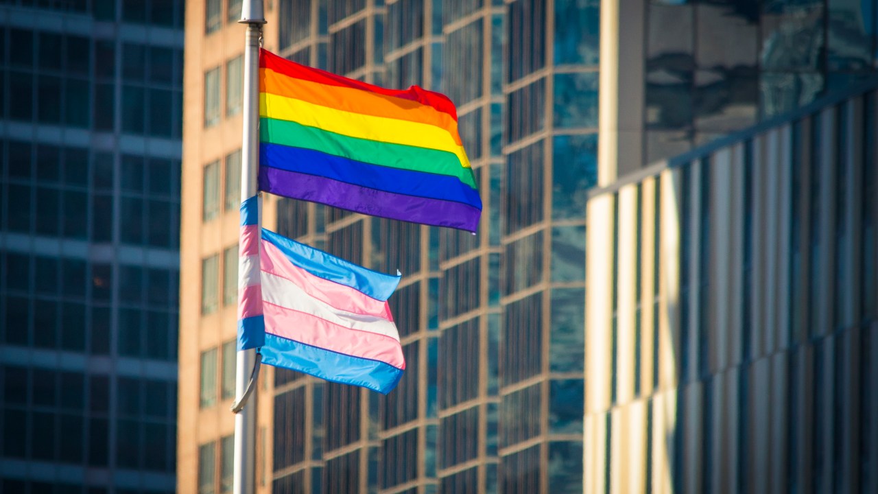 Bandeira LGBT e bandeira do movimento transgênero