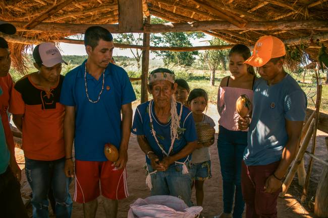 Projeto Hemp Guarani mostra como é feito o cultivo do cânhamo por populações indígenas -