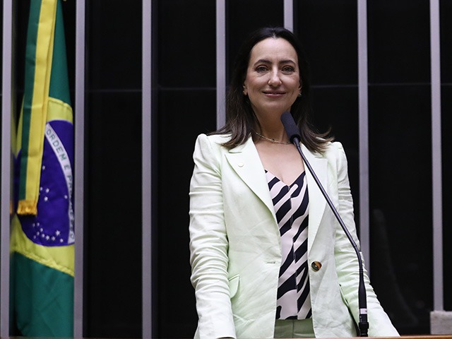 A deputada federal Rosângela Moro (União Brasil-SP), no plenário da Câmara