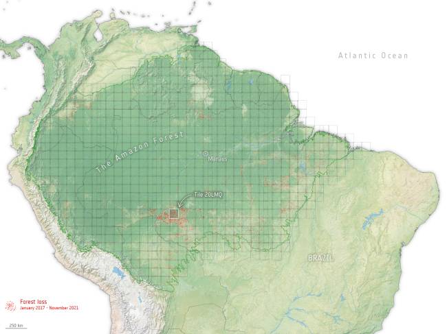 Mapa da floresta amazônica mostrando a perda florestal observada visível em vermelho
