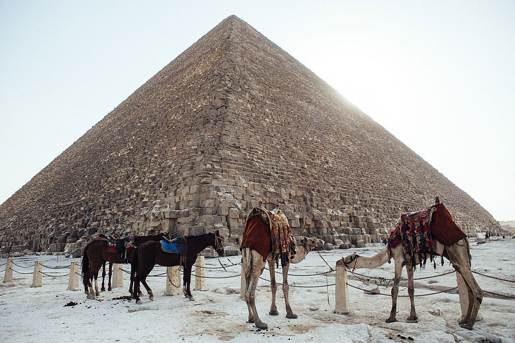 CAIRO, EGYPT - OCTOBER 21: Camels and horses stand tied to a fence below the Great Pyramid of Giza on October 21, 2013 in Cairo, Egypt. The Pyramids of Giza, one of the seven wonders of the ancient world and built around 2600 B.C., are one of Egypt's major tourist drawcards. After a summer of violence, tourist numbers across Egypt are at their lowest levels since a 2010 peak in tourism in the country. While Egypt's tourism sector took a dive following the popular uprising that overthrew President Hosni Mubarak in early 2011, occupancy rates of hotels in the capital Cairo and across Egypt have been reported as dramatically down since the Egyptian military's overthrow of President Morsi in July. In 2010, tourism represented 13% of Egypt's economy and employed one in seven of the country's workers. (Photo by Ed Giles/Getty Images).
