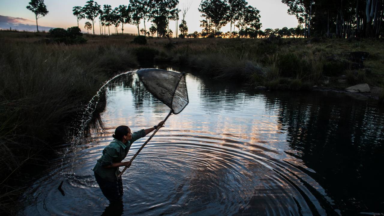 Scientists, including Adjany Costa, collect plant and water samples near the source springs of the Cubango River in Angola. Images from the initial days of the 2017 expedition down the Cubango River in Angola. Photo by Pete Muller for National Geographic