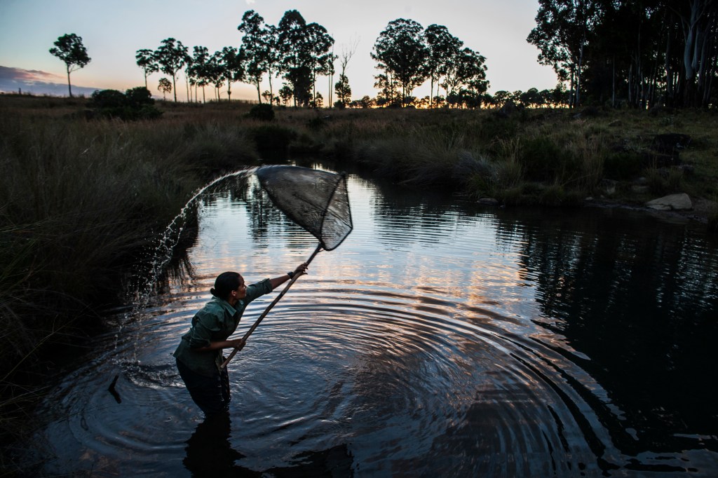 Scientists, including Adjany Costa, collect plant and water samples near the source springs of the Cubango River in Angola. Images from the initial days of the 2017 expedition down the Cubango River in Angola. Photo by Pete Muller for National Geographic