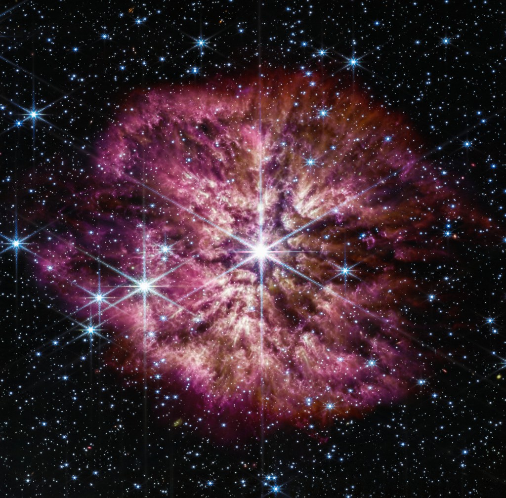 The luminous, hot star Wolf-Rayet 124 (WR 124) is prominent at the centre of the NASA/ESA/CSA James Webb Space Telescope’s composite image combining near-infrared and mid-infrared wavelengths of light. The star displays the characteristic diffraction spikes of Webb’s Near-infrared Camera (NIRCam), caused by the physical structure of the telescope itself. NIRCam effectively balances the brightness of the star with the fainter gas and dust surrounding it, while Webb’s Mid-Infrared Instrument (MIRI) reveals the nebula’s structure. Background stars and galaxies populate the field of view and peek through the nebula of gas and dust that has been ejected from the ageing massive star to span 10 light-years across space. A history of the star’s past episodes of mass loss can be read in the nebula’s structure. Rather than smooth shells, the nebula is formed from random, asymmetric ejections. Bright clumps of gas and dust appear like tadpoles swimming toward the star, their tails streaming out behind them, blown back by the stellar wind. This image combines various filters from both Webb imaging instruments, with the colour red assigned to wavelengths of 4.44, 4.7, 12.8, and 18 microns (F444W, F470N, F1280W, F1800W), green to 2.1, 3.35, and 11.3 microns (F210M, F335M, F1130W), and blue to 0.9, 1.5, and 7.7 microns (F090W, F150W, F770W). [Image Description: A large, bright star shines from the centre with smaller stars scattered throughout the image. A clumpy cloud of material surrounds the central star, with more material above and below than on the sides, in some places allowing background stars to peek through. The cloud material is yellow closer to the star.]