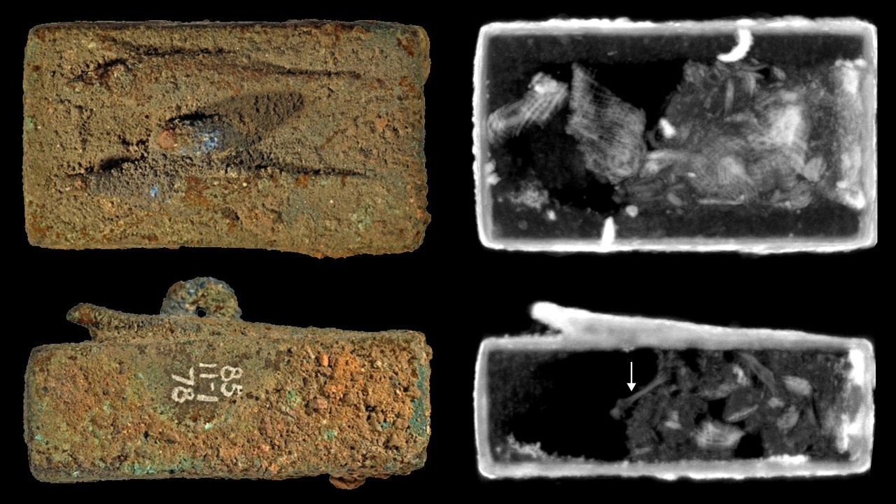 Detalhes do interior de um dos caixões, onde é possível ver fragmentos de ossos de animais -