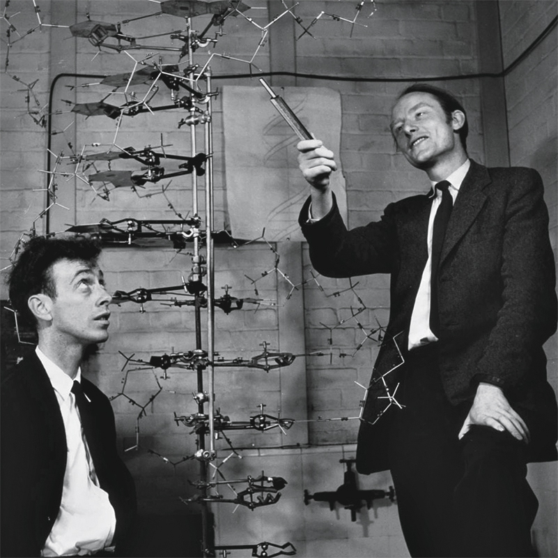 PAPELÃO - Francis Crick (à dir.) e James Watson: falso reconhecimento