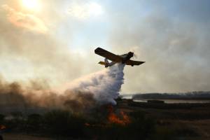Avião dos bombeiros tenta controlar incêndio florestal em Rosário, a 300 quilômetros de Buenos Aires - área costumava ter água abundante proveniente do rio Paraná