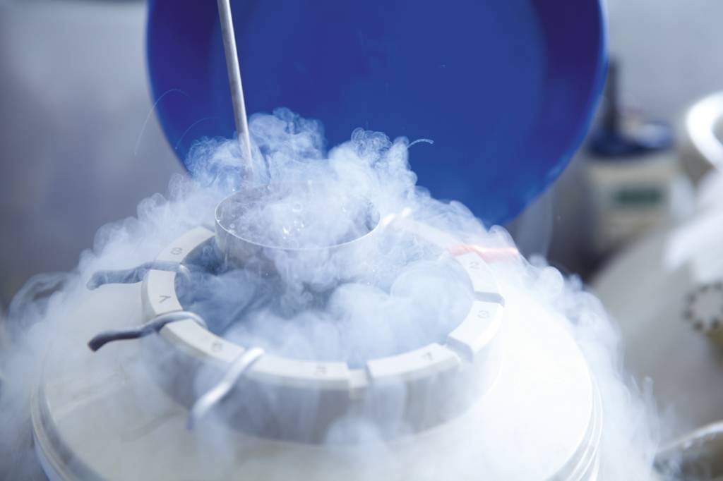 PRESERVAÇÃO - No laboratório: congelar óvulos e embriões está em alta