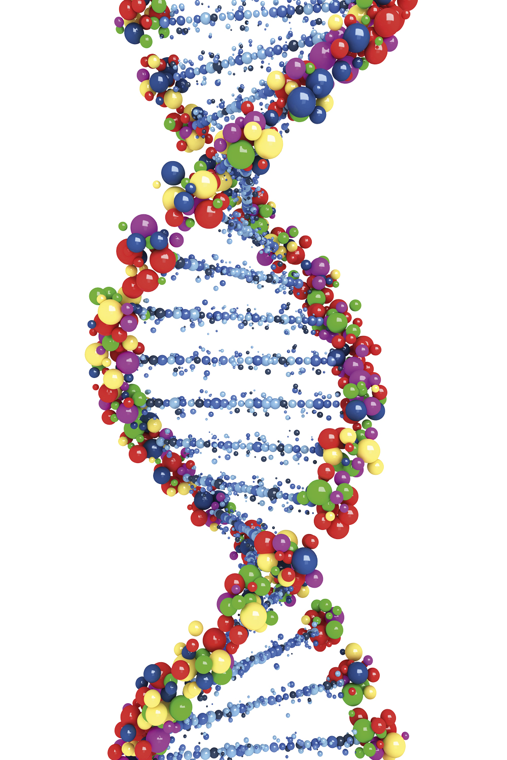 DNA - Dupla hélice: duas fitas ligadas que se enrolam uma na outra como uma escada