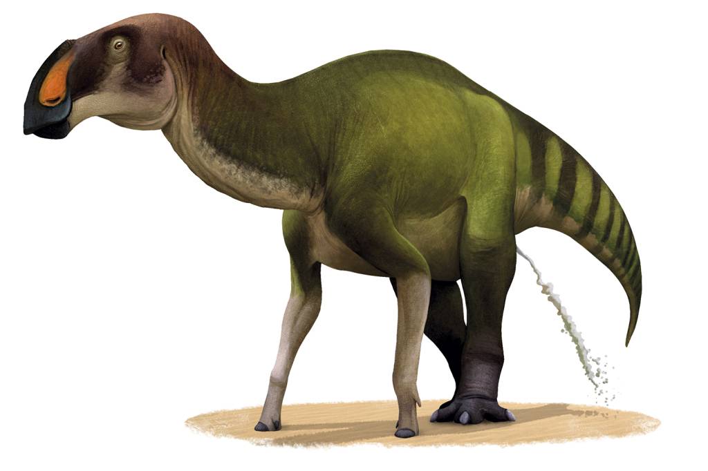 MARCAS DE XIXI - O Ornitópode deixou pegadas em rochas do interior de São Paulo, quando essa área era um grande deserto. É o autor de uma das únicas marcas de urina deixadas por um dino ainda conservadas.