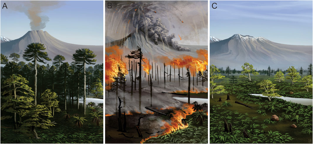 Como se deram os incêndios na região antártica, de acordo com estudo de cientistas brasileiros e chilenos -