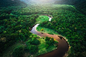 AMAZÔNIA - Brasil tem vantagens em mercado global de crédito de carbono