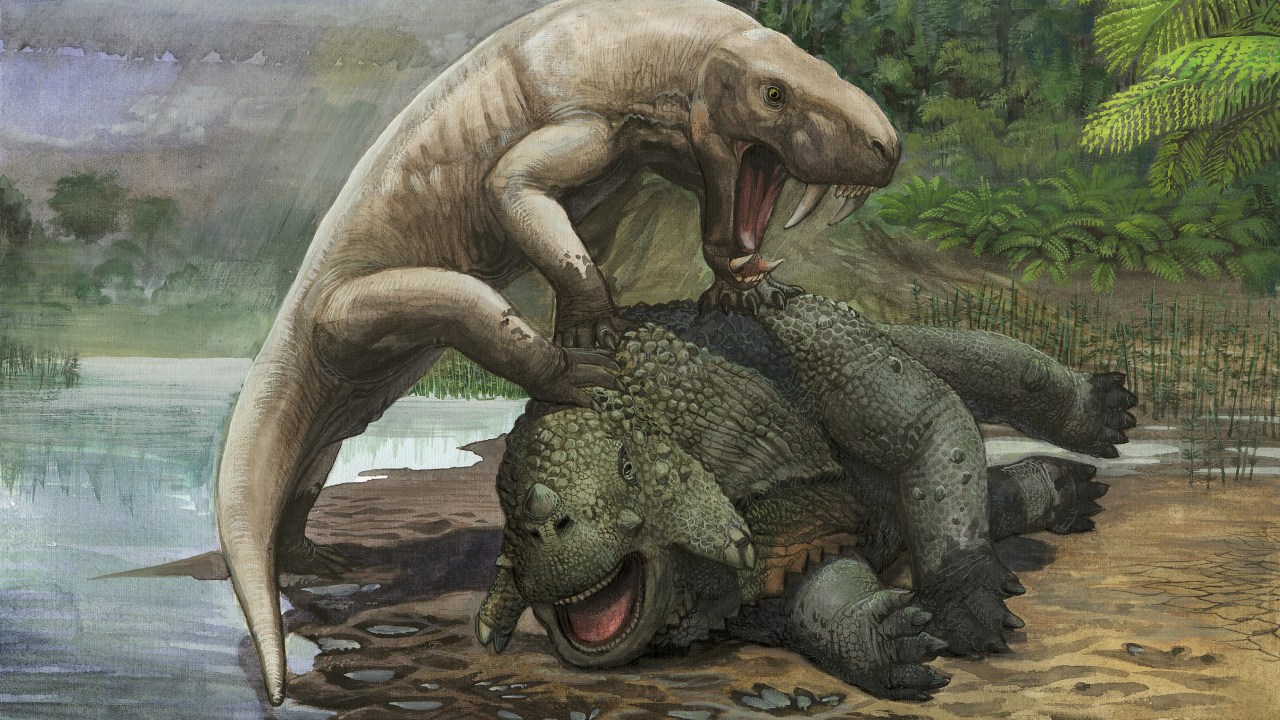 Inostrancevia atacando um Scutosaurus em período pré-histórico