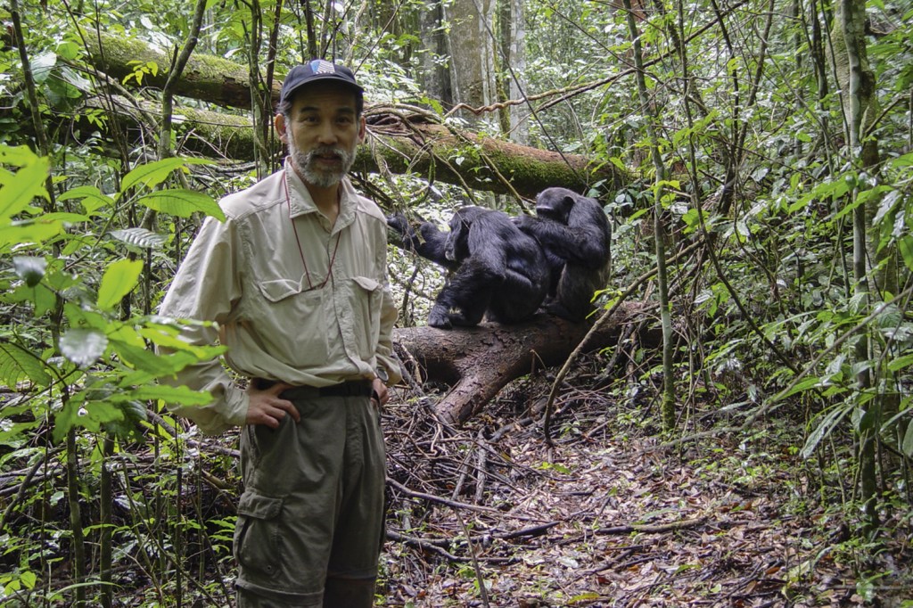 NA FLORESTA - Mitani e os chimpanzés de Ngogo: 25 anos de pesquisa