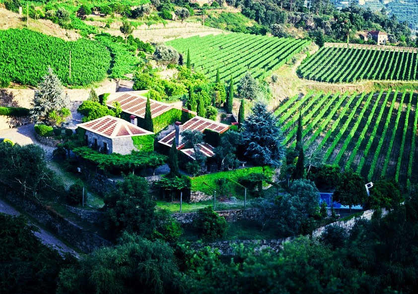A Quinta da Covela, vinícola da região norte de Portugal, conhecida por seus vinhos brancos -