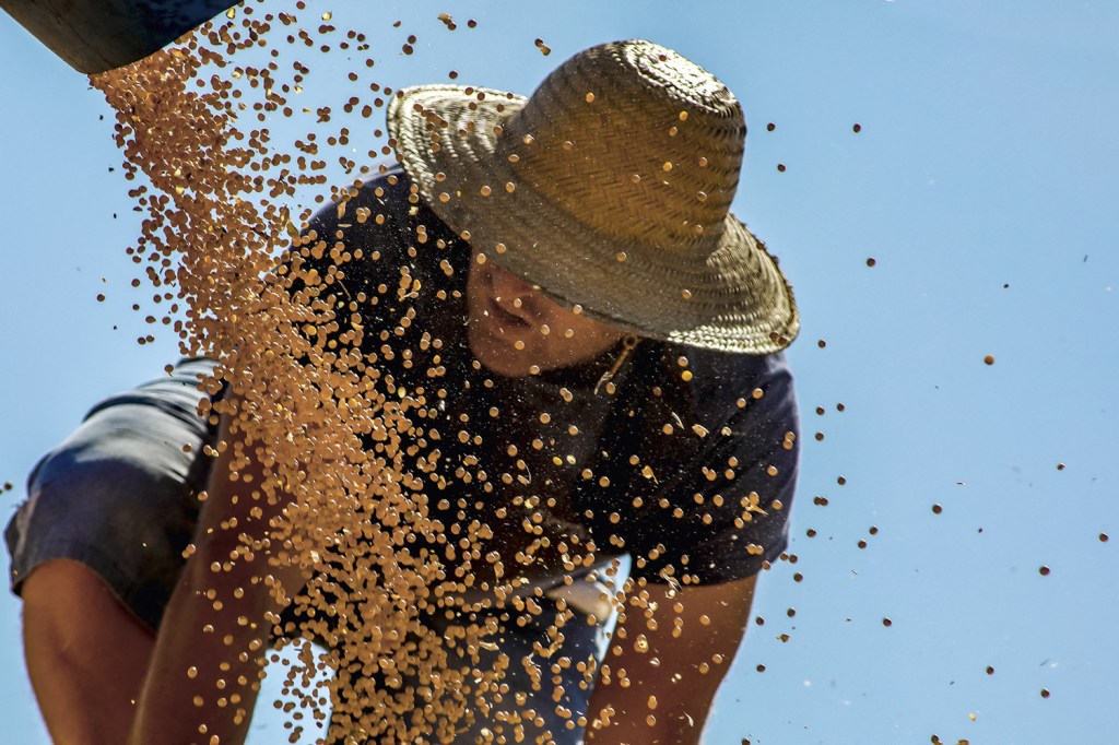 LÍDER - Colheita de soja em Salto do Jacuí (RS): o país é o maior exportador do grão
