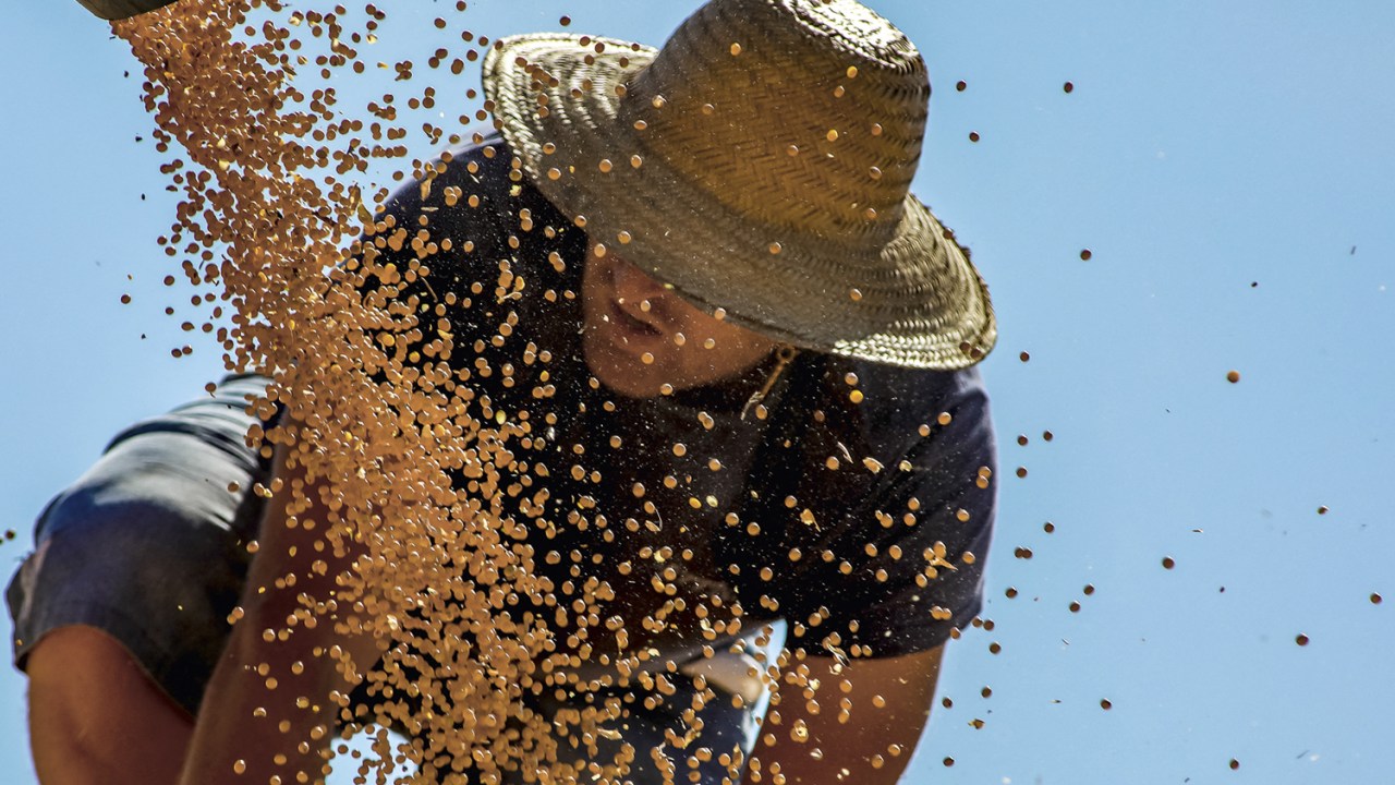 LÍDER - Colheita de soja em Salto do Jacuí (RS): o país é o maior exportador do grão