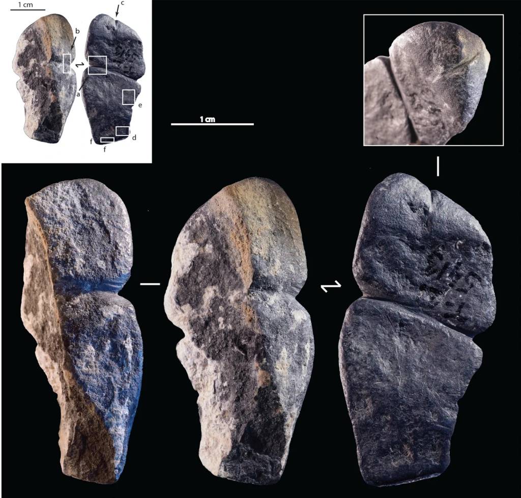 PÊNIS - Imagem microscópica dos detalhes encontrados no pingente