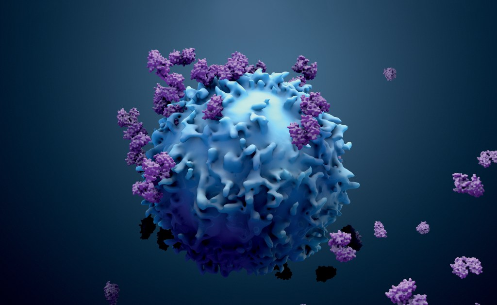 CONTRA-ATAQUE - Recrutamento interno: novas terapias fazem células de defesa perseguirem o tumor