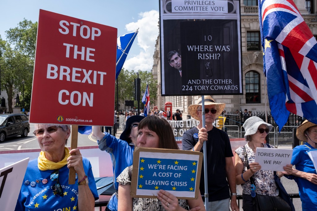 Anti-Brexit protesters continue their campaign against Brexit and the Conservative government in Westminster with a placard which asks where was Rishi Sunak for the privileges committee vote on 21st June 2023 in London, United Kingdom. This group of protesters gather every Wednesday outside parliament for the weekly PMQs. (photo by Mike Kemp/In Pictures via Getty Images)