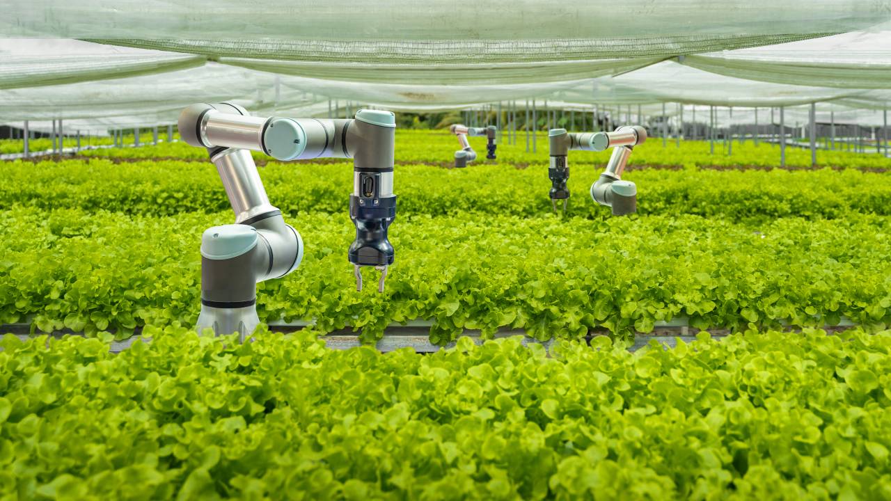 Robôs são empregados em plataforma de agricultura inteligente