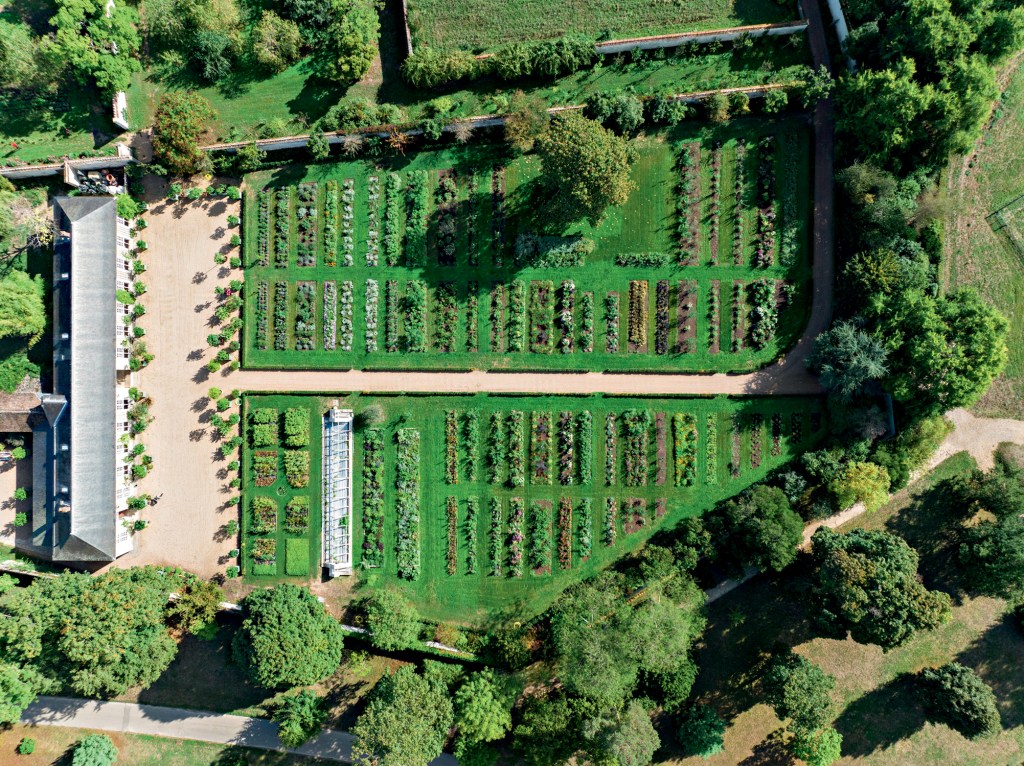 A PERDER DE VISTA - Jardin du Parfumeur: a missão de refazê-lo envolveu um mergulho em escritos do próprio rei