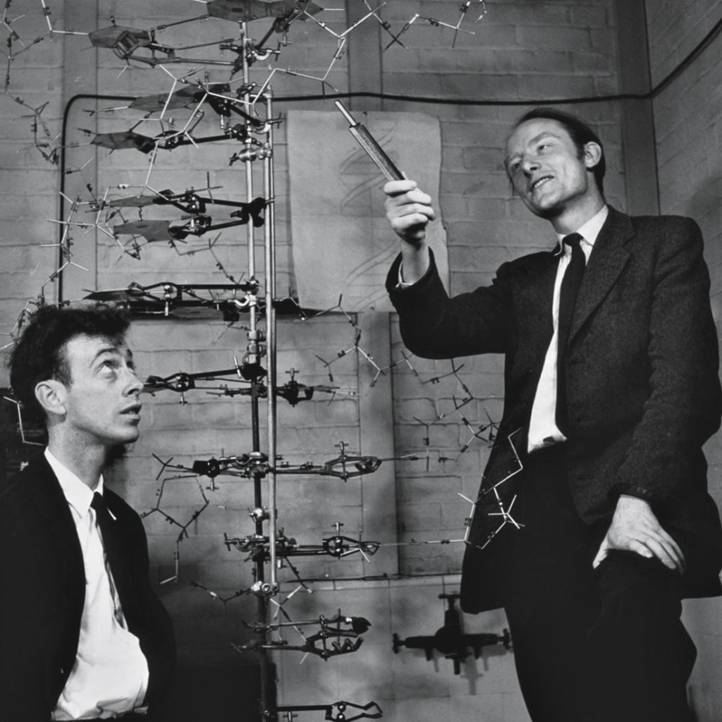 CÓDIGO DA VIDA - Watson (à esq.) e Crick: cientistas que descobriram o formato do DNA em 1953