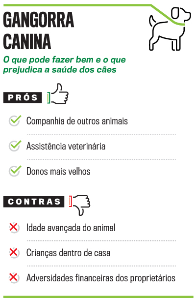 arte c&atilde;es