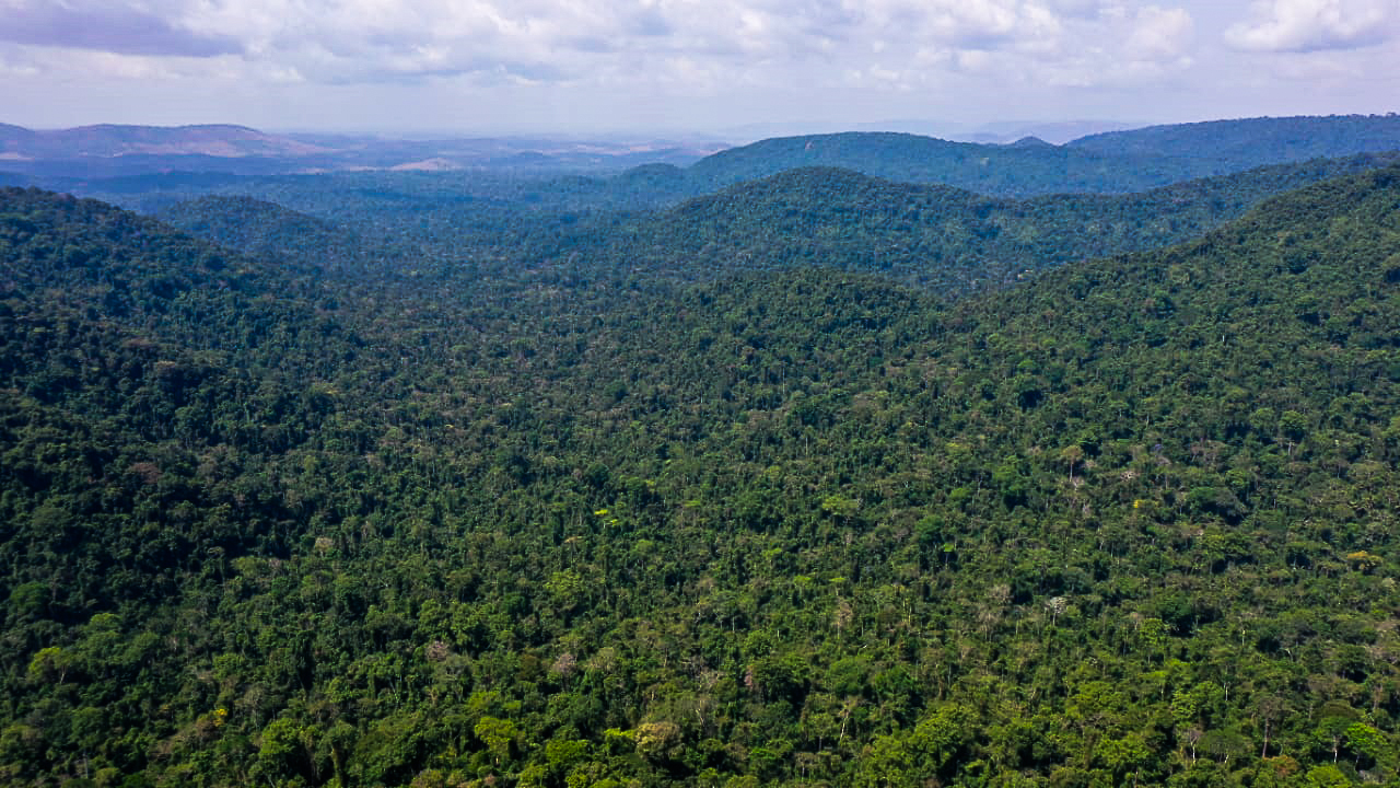 Floresta Nacional de Carajás; Parauapeba, Pará