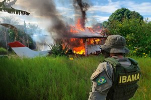 CREDIBILIDADE - Fiscais do Ibama destroem instalações de garimpo ilegal: respeito internacional