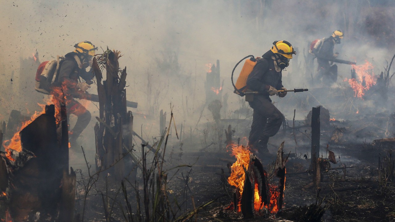 EM CHAMAS - Cerrado: cenário para o flagelo das queimadas no Brasil